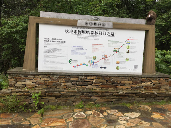 導視系統(tǒng)設計